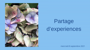 Read more about the article PARTAGE D’EXPERIENCES